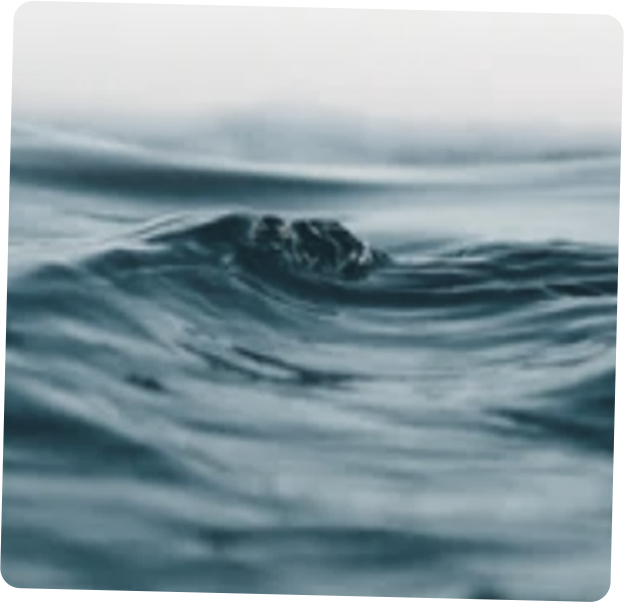Water Wave